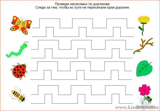 58364684_1272455361_15.jpg