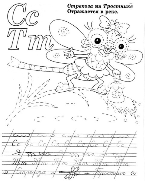 55019620_p9.jpg