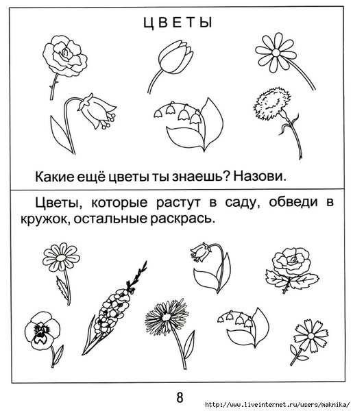 ���������-���������8 (601x700, 163Kb)