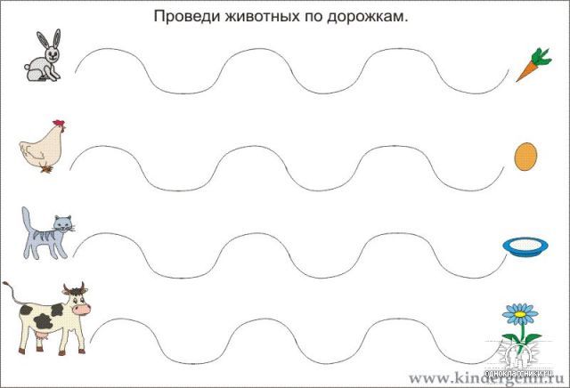 58364678_1272455291_12.jpg
