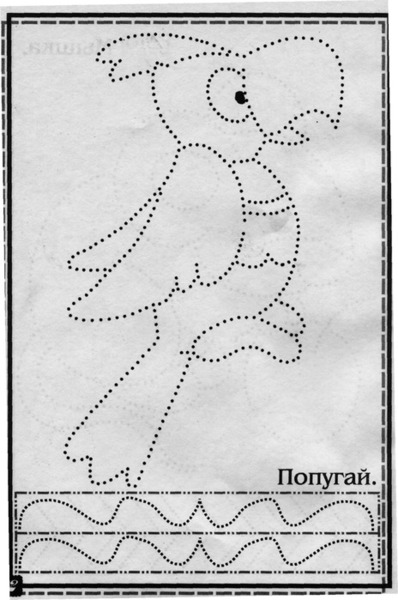 66006080_popugay1.jpg