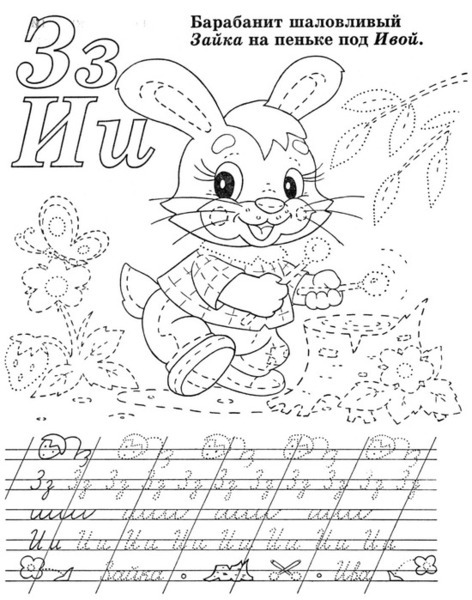 55019556_p4.jpg