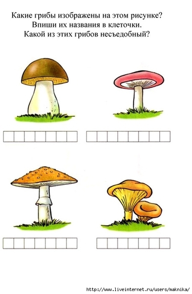 ���-���-��������-10 (458x700, 109Kb)