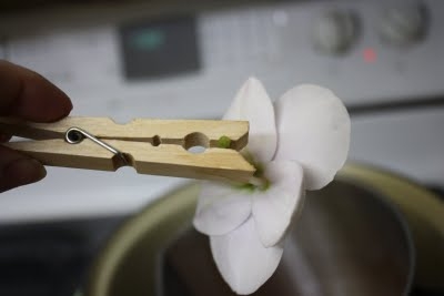 ��� ������� ��������