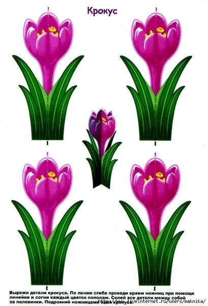 img004 (476x700, 211Kb)