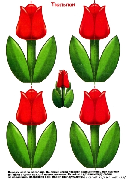 img014 (494x700, 233Kb)