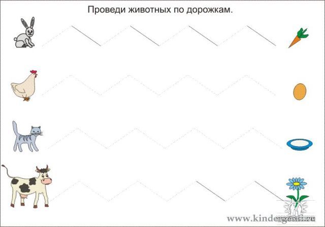58364674_1272455244_10.jpg