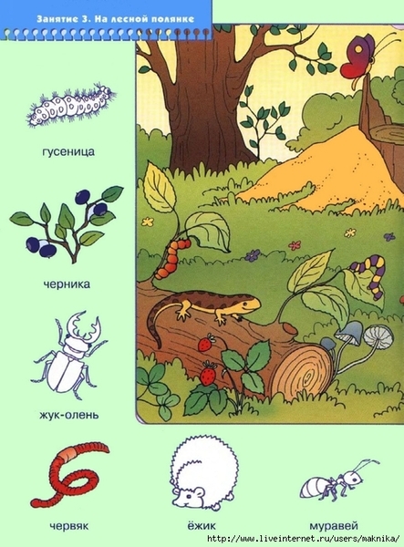 �8 (517x700, 288Kb)