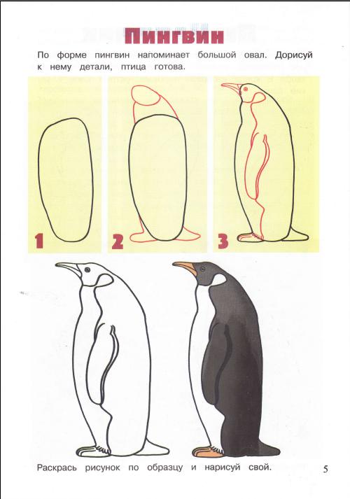 4.jpeg