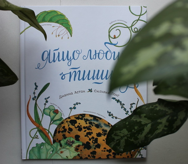 ����� ����� ����� ������ - 