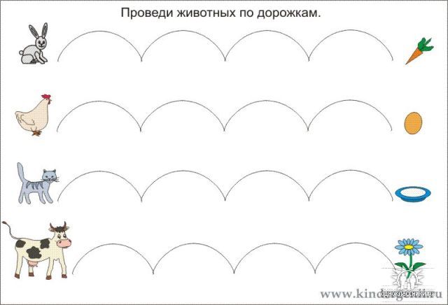 58364676_1272455269_11.jpg
