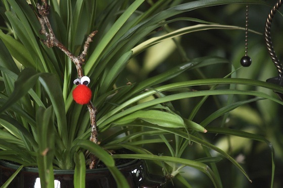 Rascally Reindeer in the spider plant.