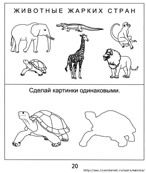 ���������-���������20 (589x700, 147Kb)