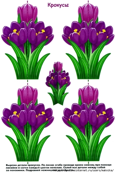 img004 (468x700, 271Kb)
