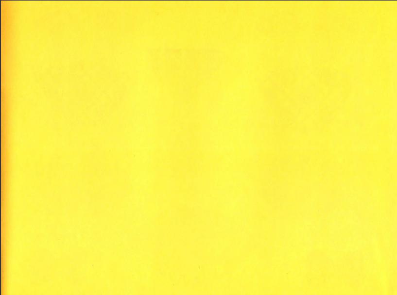8.jpeg
