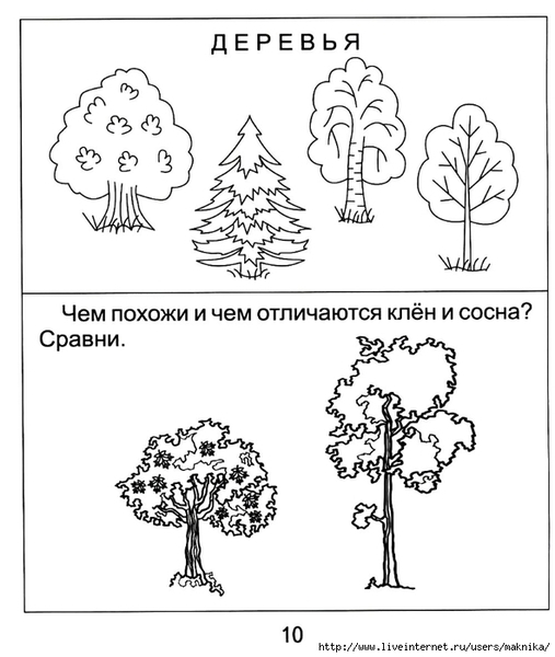 ���������-���������10 (591x700, 169Kb)