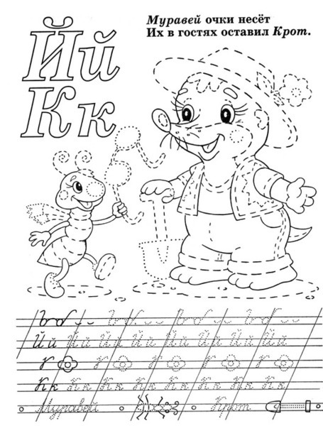 55019570_p5.jpg