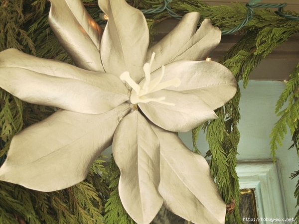 magnolia leaf poinsettia closeup[10] (700x525, 230Kb)