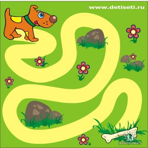 58364670_1272455155_8.jpg