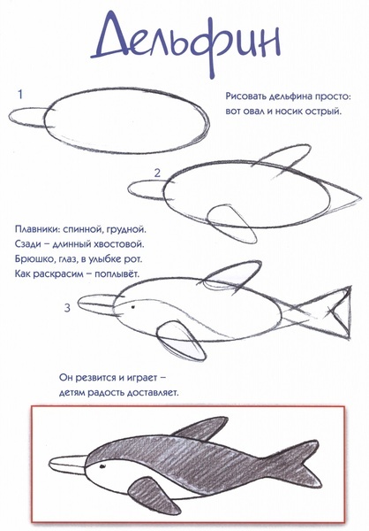 дельфин.jpg дельфин.jpg