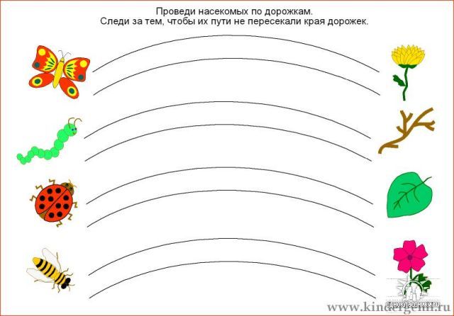 58364682_1272455342_14.jpg
