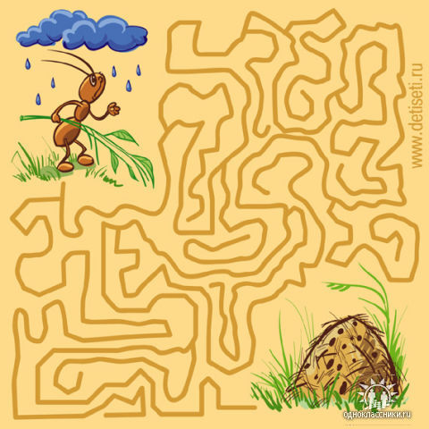58364694_1272455527_fde.jpg